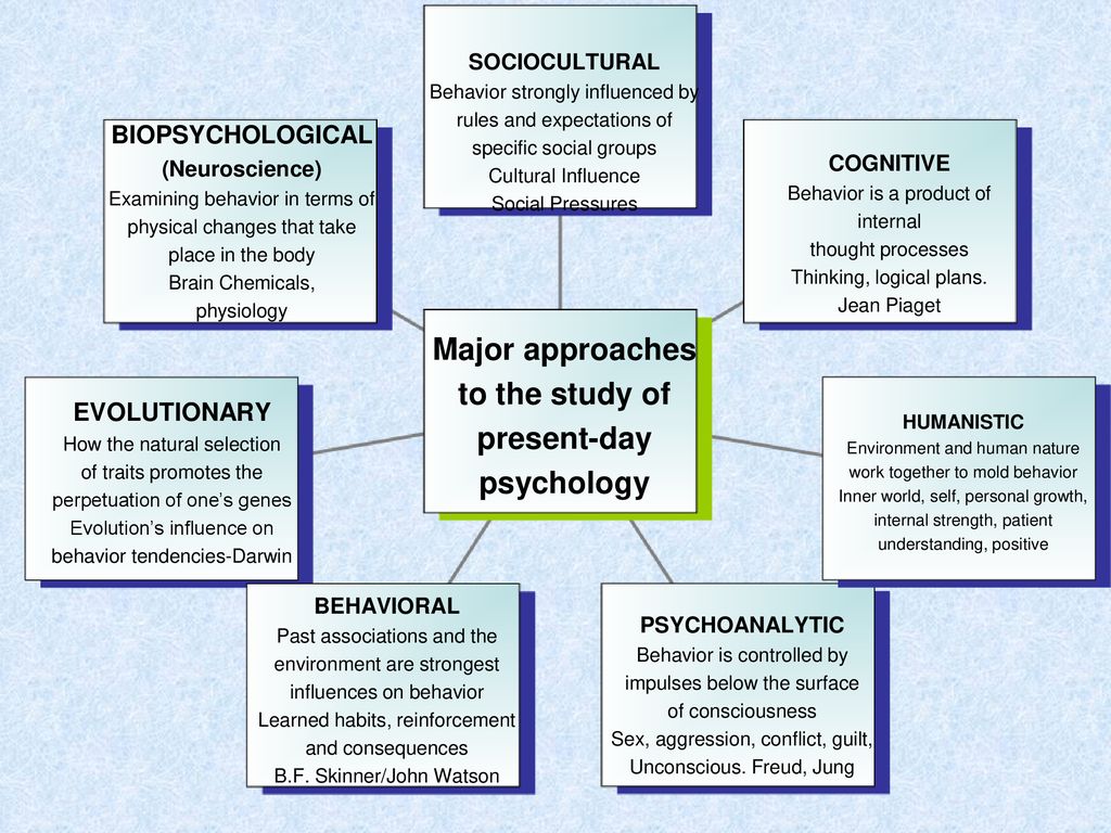 Perspectives of Psychology ppt download